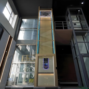 Ascenseur hydraulique/à <span class=keywords><strong>traction</strong></span> électrique <span class=keywords><strong>de</strong></span> grande capacité pour villa, appartement, <span class=keywords><strong>maison</strong></span>, intérieur, personnalisable en gros - Product Image 1