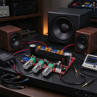 Carte d'amplification numérique 2.1 canaux JYWD, largeur 100x70mm, 2x50W+100W, tension DC12V-24V, module d'amplification audio