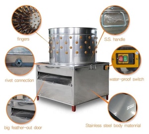 <span class=keywords><strong>Plumeuse</strong></span> à volaille à grande vitesse / Machine à plumer les poulets / <span class=keywords><strong>Plumeuse</strong></span> à plumes de caille et de pigeon - Product Image 6