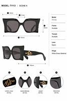 Fabricant de lunettes de soleil de créateur, lunettes carrées en acétate avec logo personnalisé pour événements de mode, lunettes de soleil personnalisées avec logo Viper