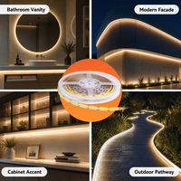 Bande LED néon blanche professionnelle 24V, découpable, indice de protection IP67, télécommande, garantie 5 ans, haute qualité, vente en gros