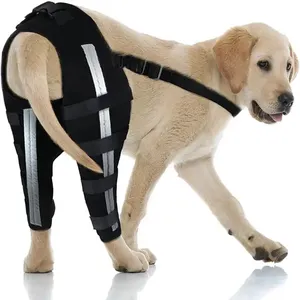 Atacado Hind Pernas Envoltório Lesão Recuperar Protetor Ajustável Dog Knee Brace Pet Joelheiras Ajustar Proteger Harness Knee Support