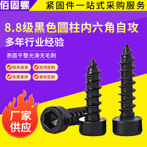 Cylindrical Head Hex Socket Tapping Screw M3 M4 M5 Metric Grade 8.8 For Wood Fasteners - Product Image 5