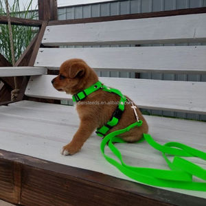 Arnês para Cães em Forma de H para Caminhadas Aventuras Conforto e Estilo Combinado Permite Pro Control-Material Plástico - Product Image 6