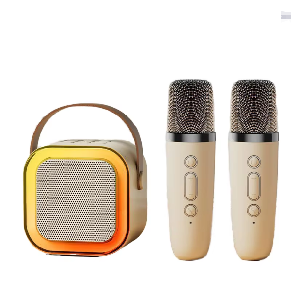 K12 Mini Karaoke Machine 2 Mic Wireless Microphone LED Light Subwoofer Speaker for Personal Computer Use or Singing
