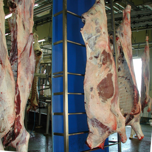 Équipement d'abattage de bétail pour abattoir, matériel de boucherie - Product Image 1