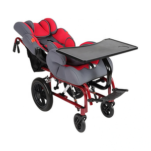 Cochecito y <span class=keywords><strong>Silla</strong></span> <span class=keywords><strong>de</strong></span> <span class=keywords><strong>Ruedas</strong></span> 3 en 1 Premium Adaptativo <span class=keywords><strong>para</strong></span> Niños con Necesidades Especiales |   Asiento Médico Desmontable <span class=keywords><strong>para</strong></span> Automóvil - Product Image 5