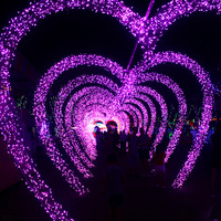 Arche de mariage en forme de coeur avec lumières à thème Jardin extérieur et décor de couloir de fête Décors de vacances de Noël Diodes électroluminescentes