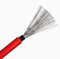 Hochwertiges Solarkabel 4 AWG Nagetierresistent UV-Beständig DC PV-Kabel