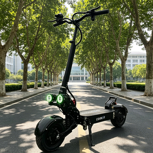 Scooter électrique adulte tout-terrain/route 11 pouces, autonomie 60-120 km, double moteur 6000W, 60V 30-40AH, frein hydraulique, pliable - Product Image 1