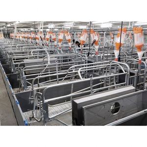 Easy to Operate Pig Farrowing Bed Farrowing House for Pig Farrowing Stall for Pig Made in China - Product Image 5