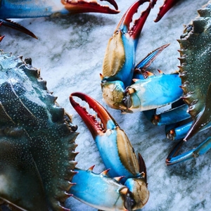 Frozen Blue Swimming <b>Crab</b> Wild Caught Whole Leg Claw Cluster Meat Premium IQF Natural Seafood Export Grade Supply - Product Image 3