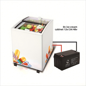 Congélateur à glace solaire 12/24V pour stand de rue, armoire réfrigérée avec porte coulissante pour voiture et usage domestique - Product Image 2