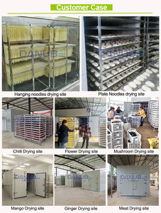 Good Quality Sunflower Seeds Air Tray Hot Selling Automatic Drying Chamber Food Processing Oven - Product Image 3