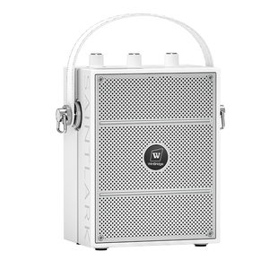 Winbridge 40W Audio Solution <strong>Wireless</strong> Hifi <strong>Speakers</strong> with Microphone - Product Image 2