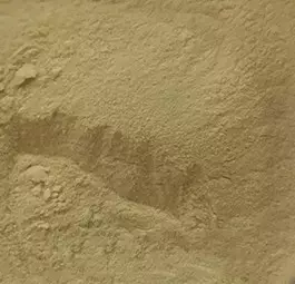 <span class=keywords><strong>Levadura</strong></span> <span class=keywords><strong>de</strong></span> Cerveza en Polvo <span class=keywords><strong>de</strong></span> Alta Calidad, 40% <span class=keywords><strong>de</strong></span> Proteína, Alimento para Animales y <span class=keywords><strong>Levadura</strong></span> <span class=keywords><strong>de</strong></span> Cerveza, Bolsa <span class=keywords><strong>de</strong></span> 25 kg - Product Image 2