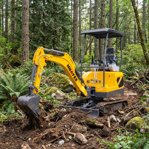 Envío Gratis, Excavadora de 1.8 Toneladas con Motor Kubota EPA, Precios de Mini Excavadoras, Mini Excavadora Hidráulica, Excavadora de Bajo Consumo para Granja - Product Image 3