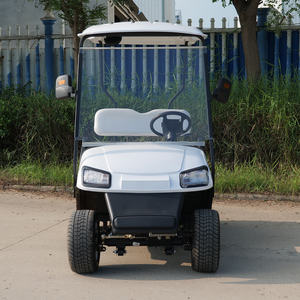 Voiturette de Golf Électrique Classique 2 Places Économique avec Batterie au Lithium/Plomb-Acide Personnalisable 48V/60V/72V - Product Image 4