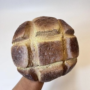 ของเล่นคลายเครียดขนมปังสับปะรดช็อกโกแลต TPE สำหรับสำนักงาน ทุกเพศ 14 ปีขึ้นไป - Product Image 3