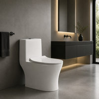 Bidet intelligent pour toilettes, lavage à l'eau chaude, siège chauffant, chasse d'eau automatique, céramique, monobloc