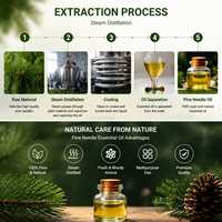 Huile d'aiguilles de pin 100% pure et naturelle de qualité thérapeutique, distillée à la vapeur, pour diffuseur d'aromathérapie, fabrication de parfums et massage – Approvisionnement direct usine