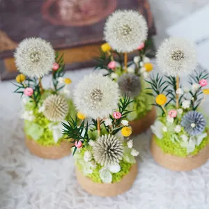UO Mini Bunga Kering Buket Tabung Kaca Bunga Dandelion Kering Hadiah Ulang Tahun Bunga Dekoratif Valentine