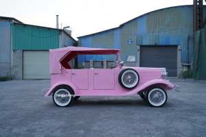 Custom <b>Paint</b> Color Open Roof Classic Electric Vintage Car Multi-passenger Retro Sightseeing Buggy for Park & Wedding Ceremony - Product Image 5