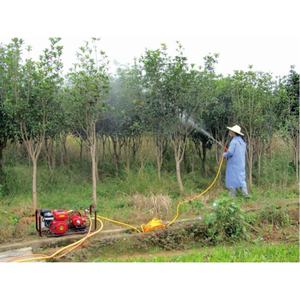 Tragbarer Benzinmotor Power Sprayer Hochdruck-Garten reinigungs werkzeug für den landwirtschaft lichen Garten New Retail Steel Farm Construction - Product Image 6