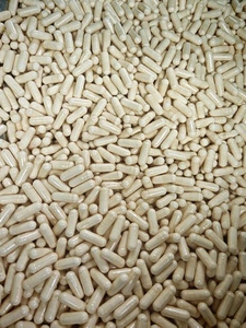 موزعون بالجملة للمكملات الغذائية: كبسولات الزنك النقية والطبيعية للبالغين والأطفال - Product Image 2