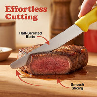 TOALLWIN Ensemble de 6 couteaux à steak en acier inoxydable avec lame dentelée 3Cr13 et manche ergonomique en PP pour restaurant, cuisine, vente en gros