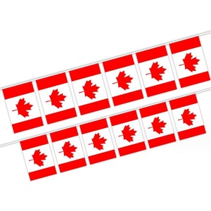 Khuyến mại Polyester Chất liệu 14*21 <span class=keywords><strong>Nepal</strong></span> chuỗi cờ <span class=keywords><strong>Nepal</strong></span> treo cờ trang trí Bunting cờ tùy chỉnh - Product Image 2