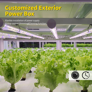 Bán Buôn T8 Veg Nở Phát Triển Ánh Sáng Lm301b 20W 30W 36W 48W 60W <span class=keywords><strong>80W</strong></span> Quang Phổ Đầy Đủ Duy Nhất Thanh <span class=keywords><strong>LED</strong></span> Phát Triển Ánh Sáng - Product Image 5