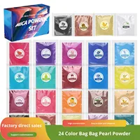 Poudre nacrée en sachet de 5g24 couleurs, fabriquée en Guangdong, pour résine DIY, colle UV, résine époxy, colle AB, pigment de remplissage