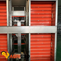 Agrieso Cage de batterie pour poulets de chair de matériel de ferme avicole automatique à vendre à bon prix