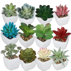 Hot Sale Mini künstliche Sukkulenten in Töpfen Creative Home Desktop dekorative künstliche saftige Topfpflanzen Großhandel