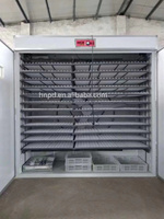 Équipement agricole automatique à haute efficacité pour faire éclore 5000 œufs de poulet
