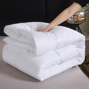 Edredón de plumas de terciopelo tipo plumón de hotel 5 estrellas, grueso, para primavera y otoño, inserto de edredón, regalo, venta al por mayor - Product Image 5