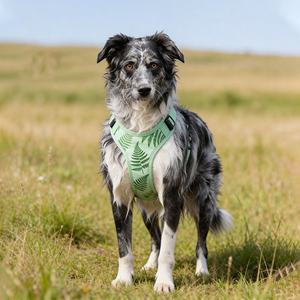 サンレイマスコタ カスタマイズ可能な犬用ハーネス 卸売製造 調整可能なパッド入り ノープル犬用ハーネス Y型ハーネス 大型犬用 - Product Image 5