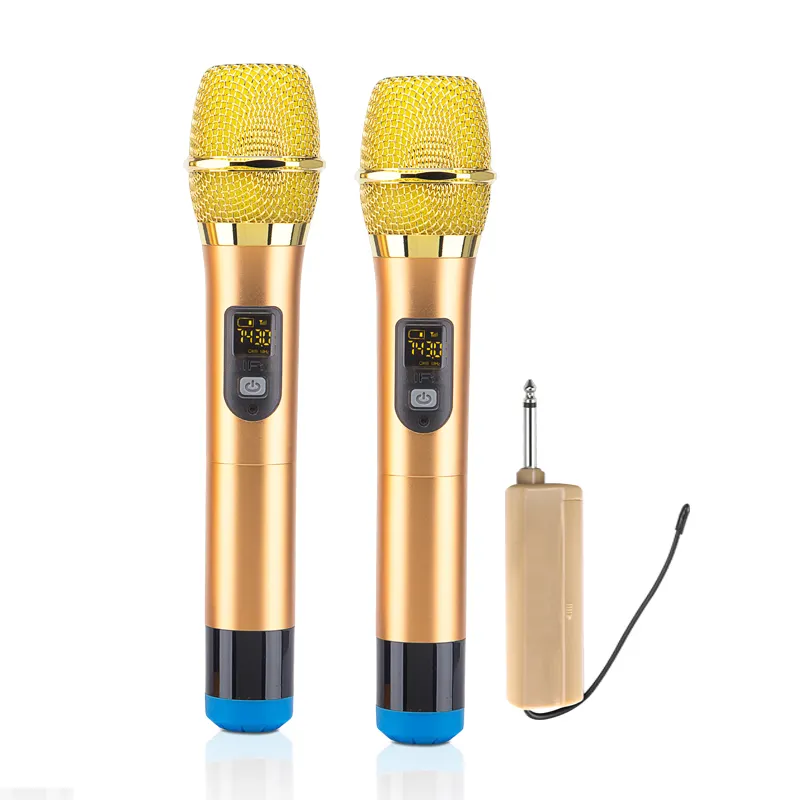 Microfono wireless senza fili multifunzione economico maniglia ktv microfono cordless a 2 canali attrezzatura da studio musicale