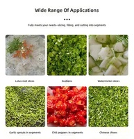 Machine à trancher les légumes et les fruits en acier inoxydable, électrique, multifonctionnelle, pour les usines de transformation des légumes