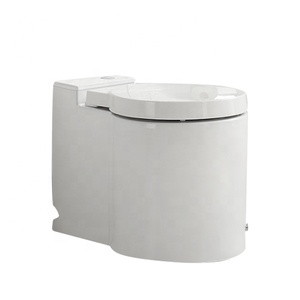 FANNISI Artículos sanitarios Cerámica Colorido Wc Inodoro eléctrico <span class=keywords><strong>Sin</strong></span> tanque de agua Asiento de inodoro <span class=keywords><strong>sin</strong></span> tanque <span class=keywords><strong>Baño</strong></span> - Product Image 5