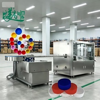 Machine de marquage laser automatique pour le tri des bouchons de bouteilles – Traçabilité visuelle complète pour la conformité à la norme Chestny Znak