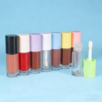 Rouges à lèvres liquides mats personnalisables avec logo, tubes de gloss vides, gloss vegan longue tenue et waterproof pour marques de distributeurs.