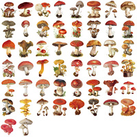 Paquete de 50 Pegatinas Transparentes Retro de Dibujos Animados con Forma de Hongo, Resistentes al Agua, de PET, para Decoración de Diarios, Guitarras y Cuadernos