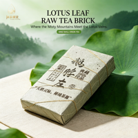 Thé Pu'er cru compressé Premium Ebozuo Micro-Terroir, provenant d'arbres anciens, thé santé, 500g, feuille de lotus entière naturelle, emballée, objet de collection