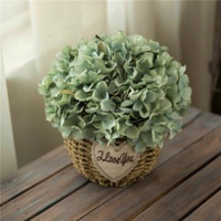Hortensia séché naturel Anna bicolore dégradé, tige unique, blanchi, fleur éternelle pour décoration de mariage et de maison