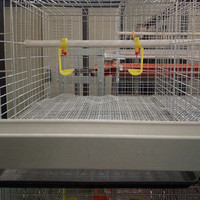 Meilleur Prix Équipement Avicole Automatique Cage Batterie pour Poules Pondeuses avec Tôles Abri Poulailler 3 Niveaux 2 Maisons à Poulets 68