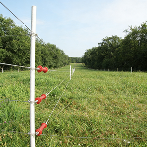 Postes de Cerca Eléctrica Temporal de Fibra de Vidrio, Postes de Cerca de Fibra de Vidrio al por Mayor - Product Image 3