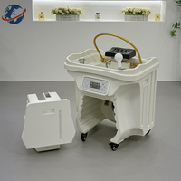 Lit de spa capillaire portable haut de gamme 2025 sans plomberie, équipement de salon coréen, fauteuil de lavage mobile avec bac