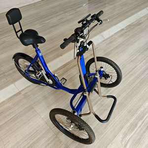 Tricycles à une vitesse, vélos cargo à 3 roues, vélos électriques Bakfiets pour loisirs, courses, exercices avec dossier - Product Image 2